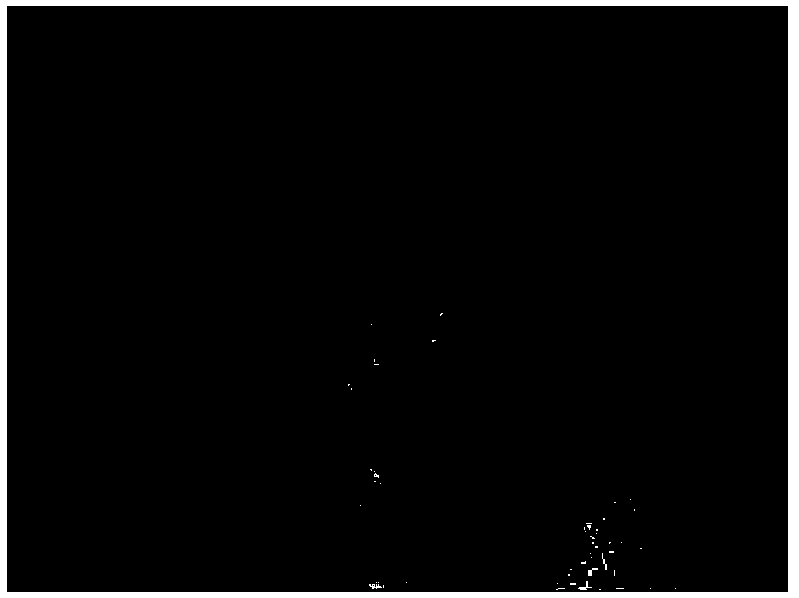 Method for rapidly sectioning and dyeing miscanthus plants