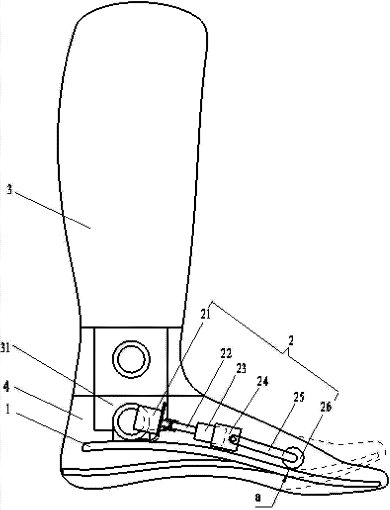 Dynamic below-knee prosthesis with continuous flexible toe joint