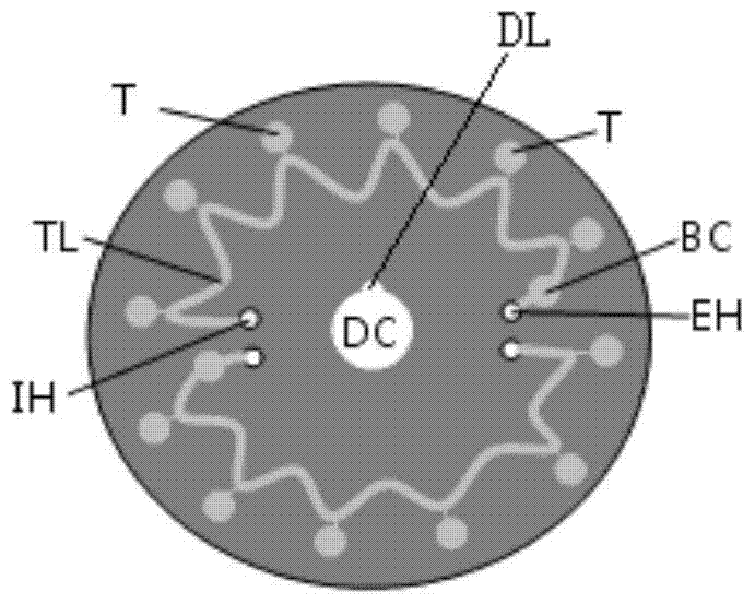 A microfluidic chip nucleic acid rapid parallel detection method and system