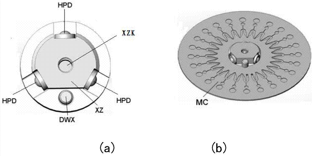 A microfluidic chip nucleic acid rapid parallel detection method and system