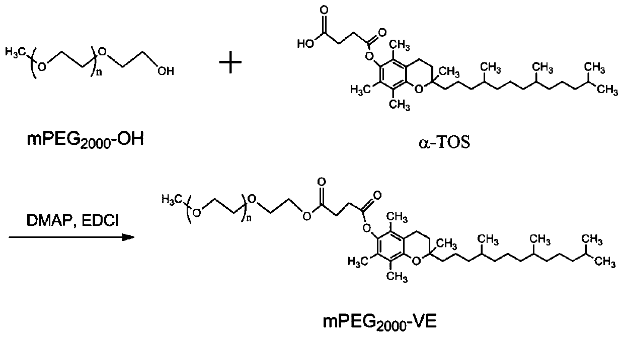 New material containing tbFGF and use thereof