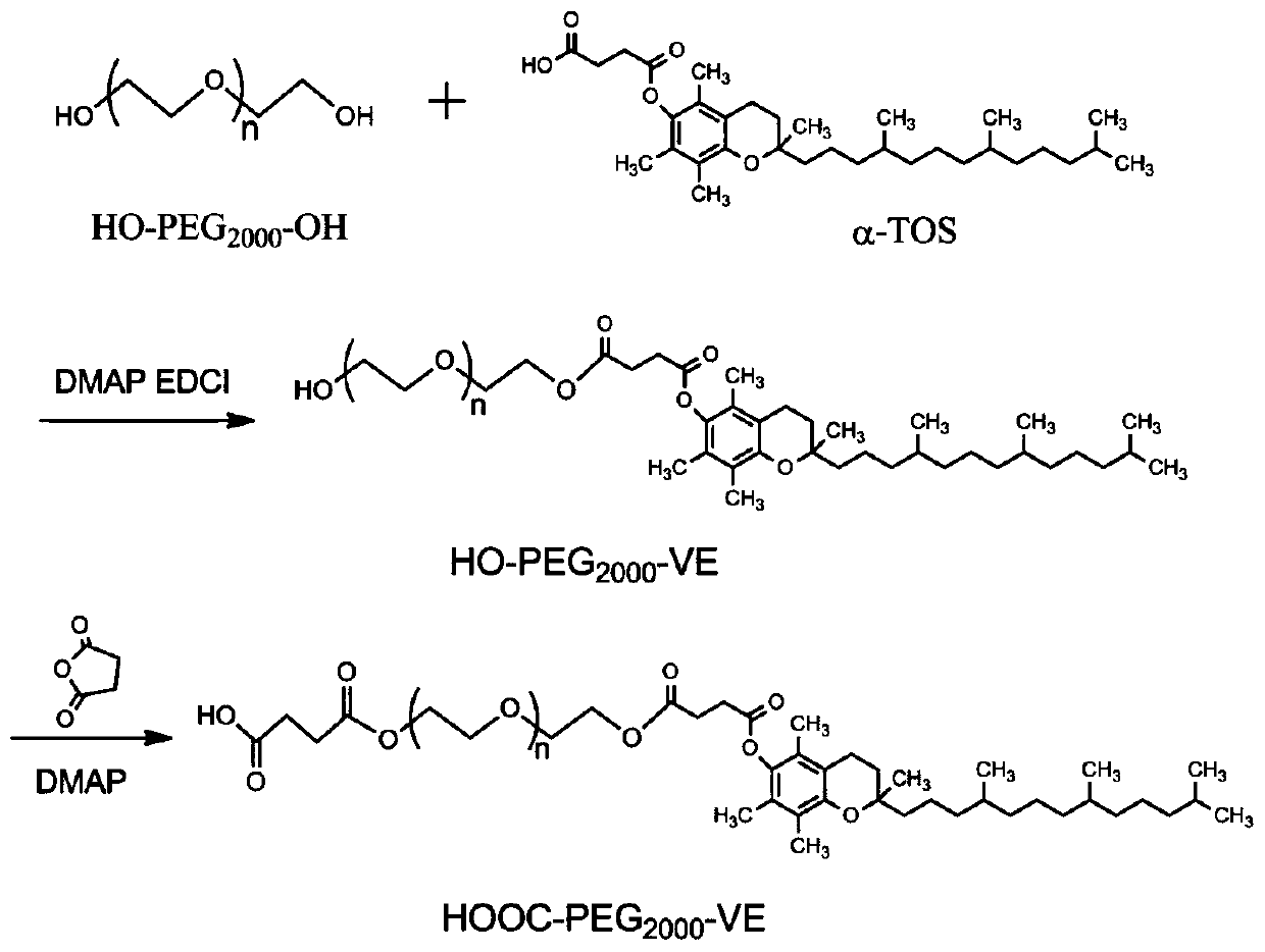 New material containing tbFGF and use thereof