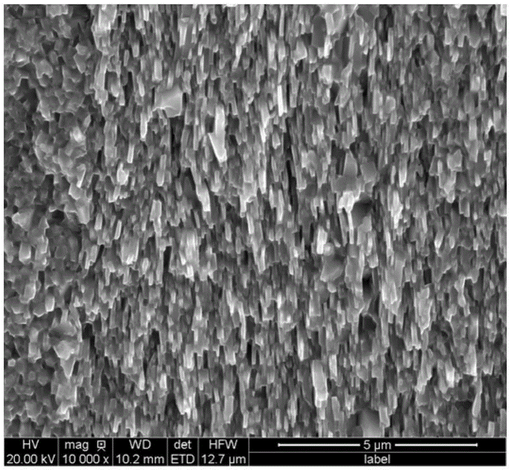 Nanocrystalline thermal deformation rare-earth permanent magnet material with high coercivity and preparation method of nanocrystalline thermal deformation rare-earth permanent magnet material