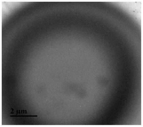 A kind of dye-doped liquid crystal microcapsule material and preparation method thereof