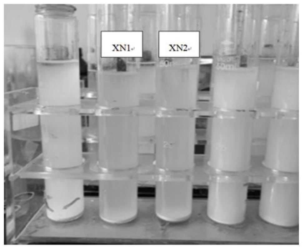 Microbial flocculant as well as preparation method and application thereof