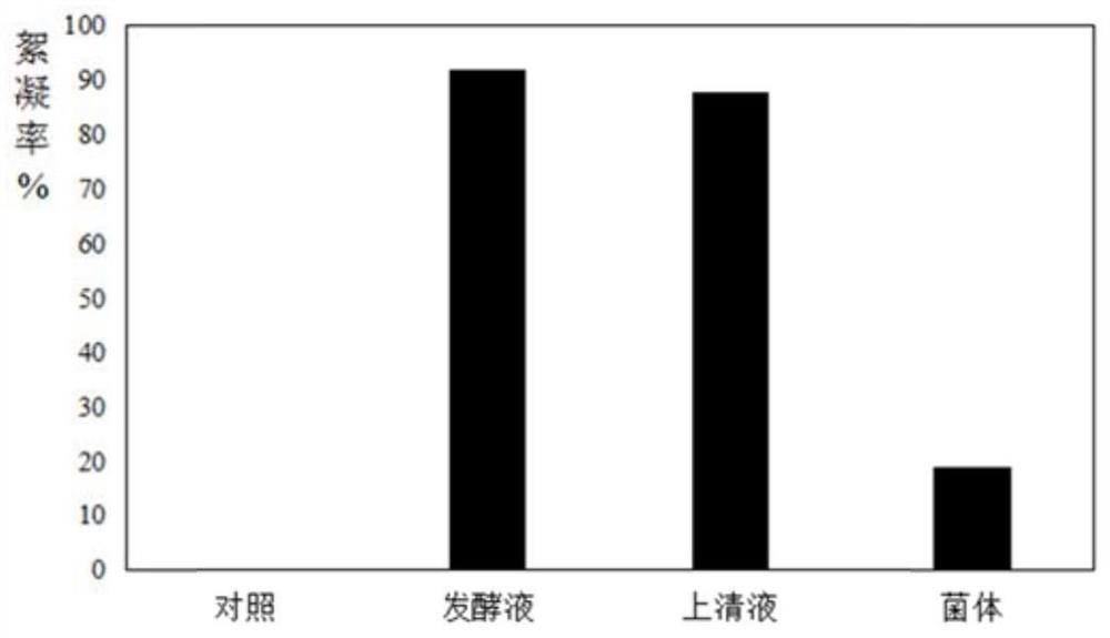 Microbial flocculant as well as preparation method and application thereof