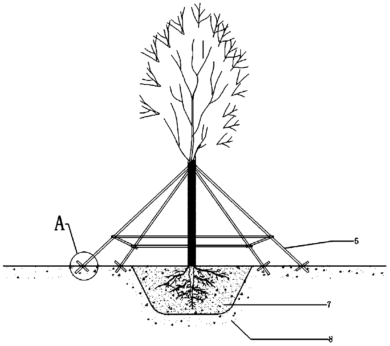 Anti-collapse device used for sandy soil nursery stock support and use method of anti-collapse device