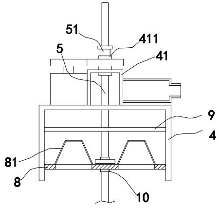 Beautifying and whitening cosmetic plant essential oil, extraction equipment and preparation method thereof