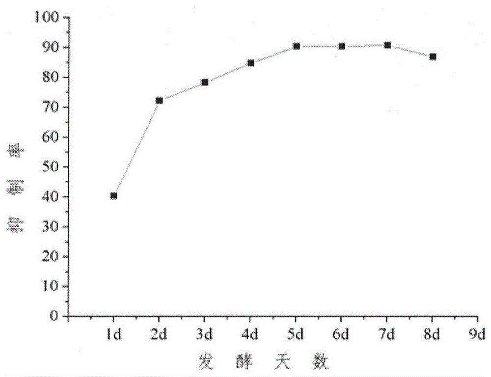 Pantala flavescens larva intestinal tract endophytic fungus Curvularia crepinii and application thereof