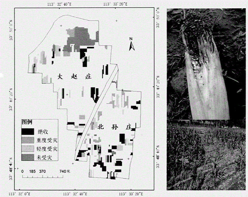 Crop disaster situation loss assessment method based on remote-sensing sampling