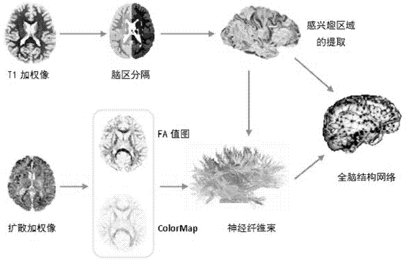 Efficiency connection analysis method fused with structural connection for each brain area