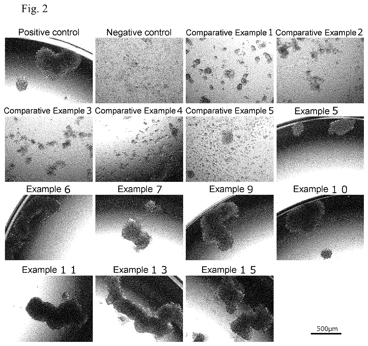 Cell culture container capable of long-term culture and method for manufacturing same