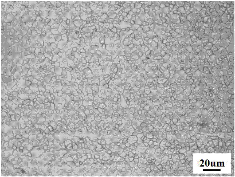 Wrought magnesium alloy and preparation method thereof