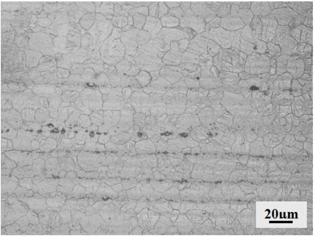 Wrought magnesium alloy and preparation method thereof