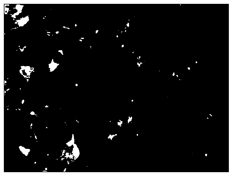 A kind of crystallization method of large particle dicumyl peroxide