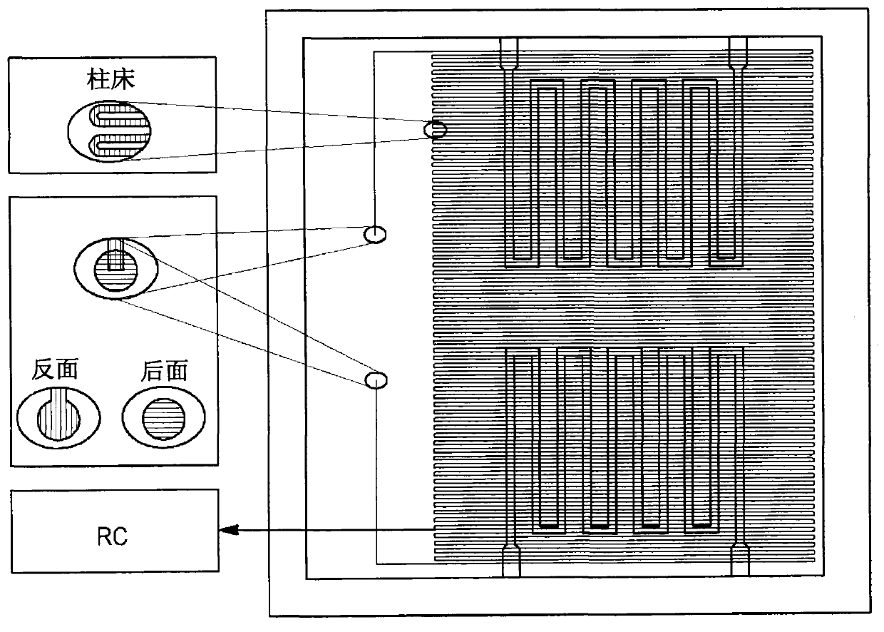 Device and method for the detection of a fungal contamination in ambient air