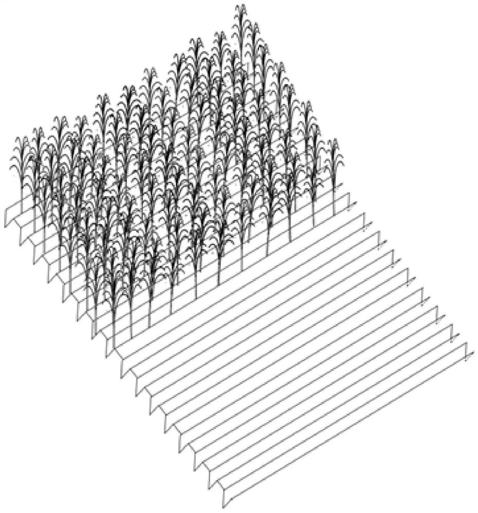 Drought-resistant lodging-resistant root-wrapping sugarcane cultivation method