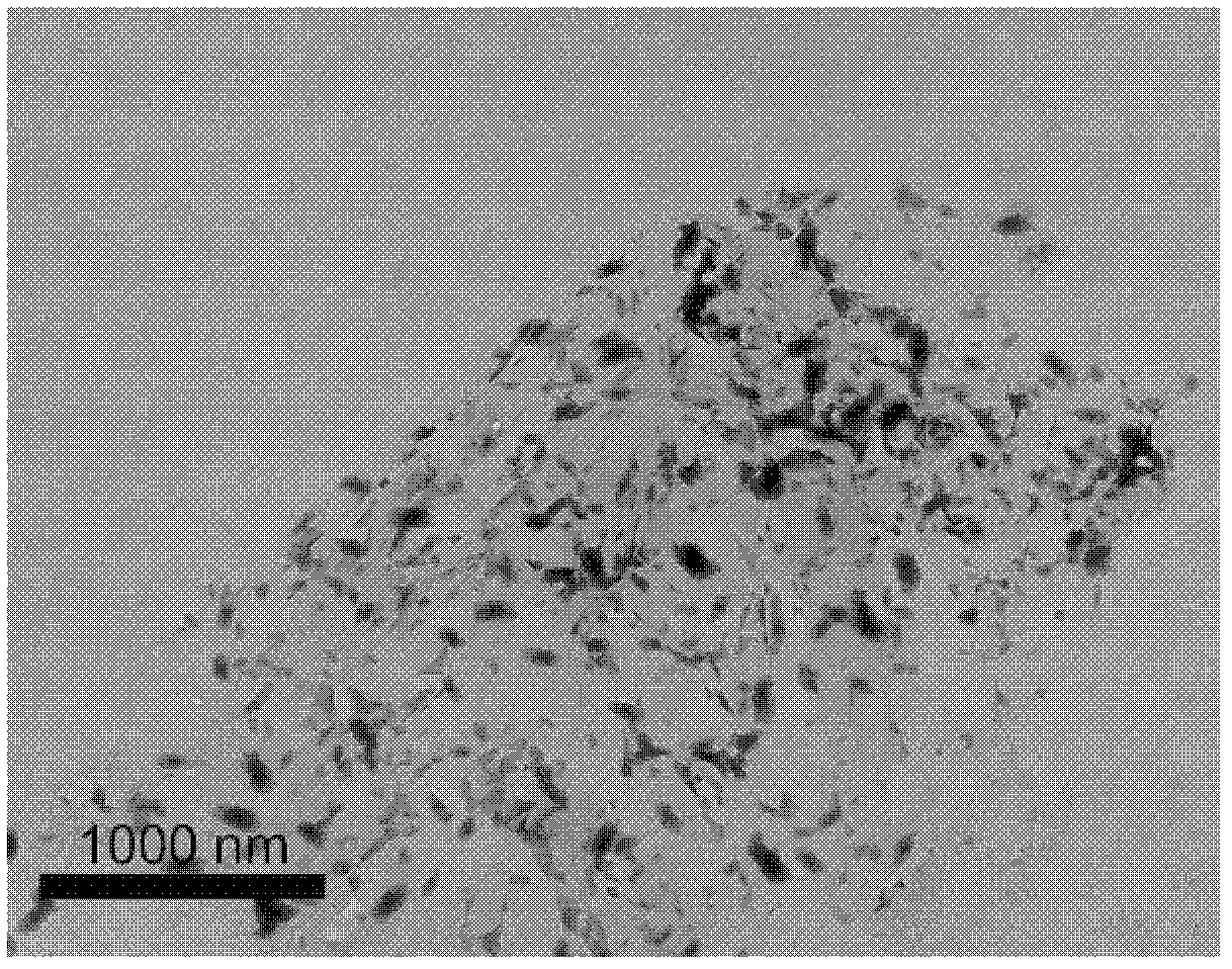 Method for preparing graphene oxide double-targeting medicine carrier material, and loaded medicine