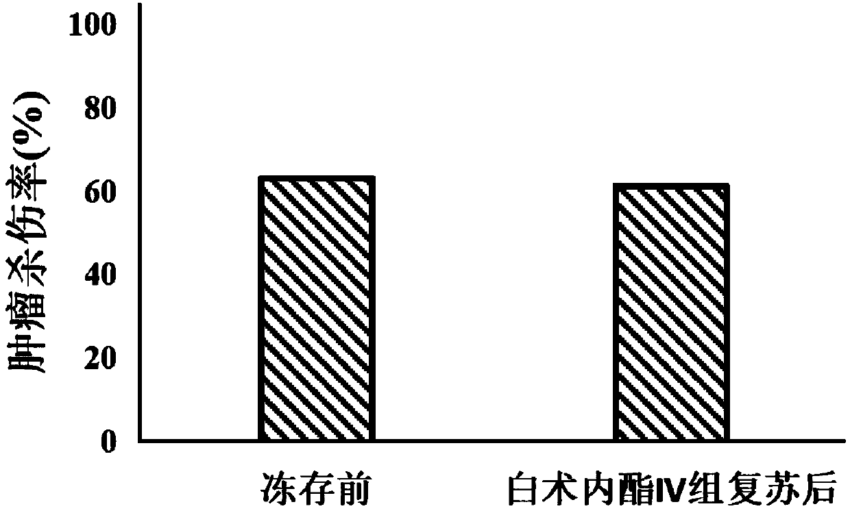 Application of atractylenolide IV to preparation of CIK cell cryopreservation solution