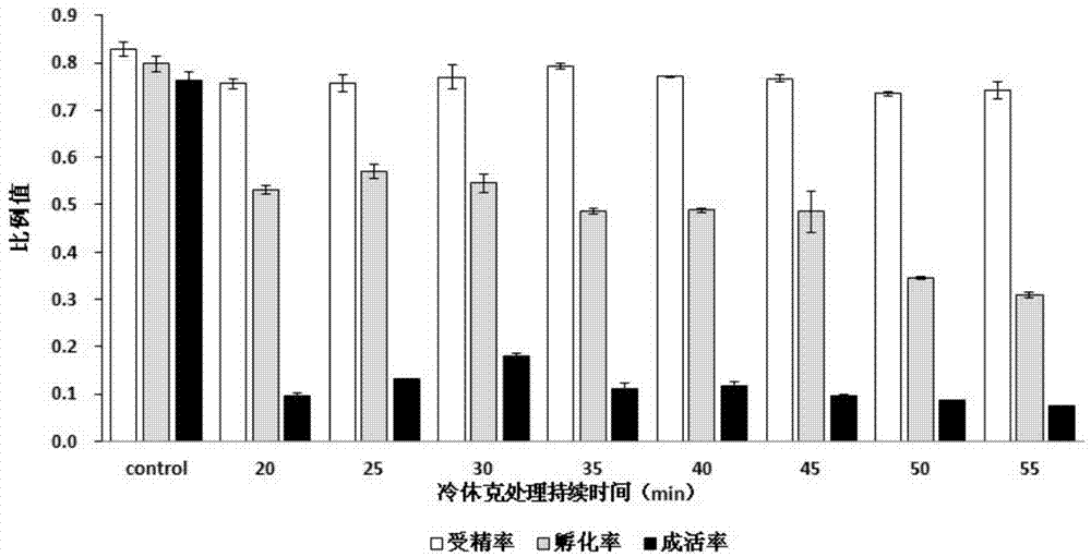 Method for inducing misgurnus anguillicaudatus gynogenesis tetraploid fries by using heterogenenos sperms