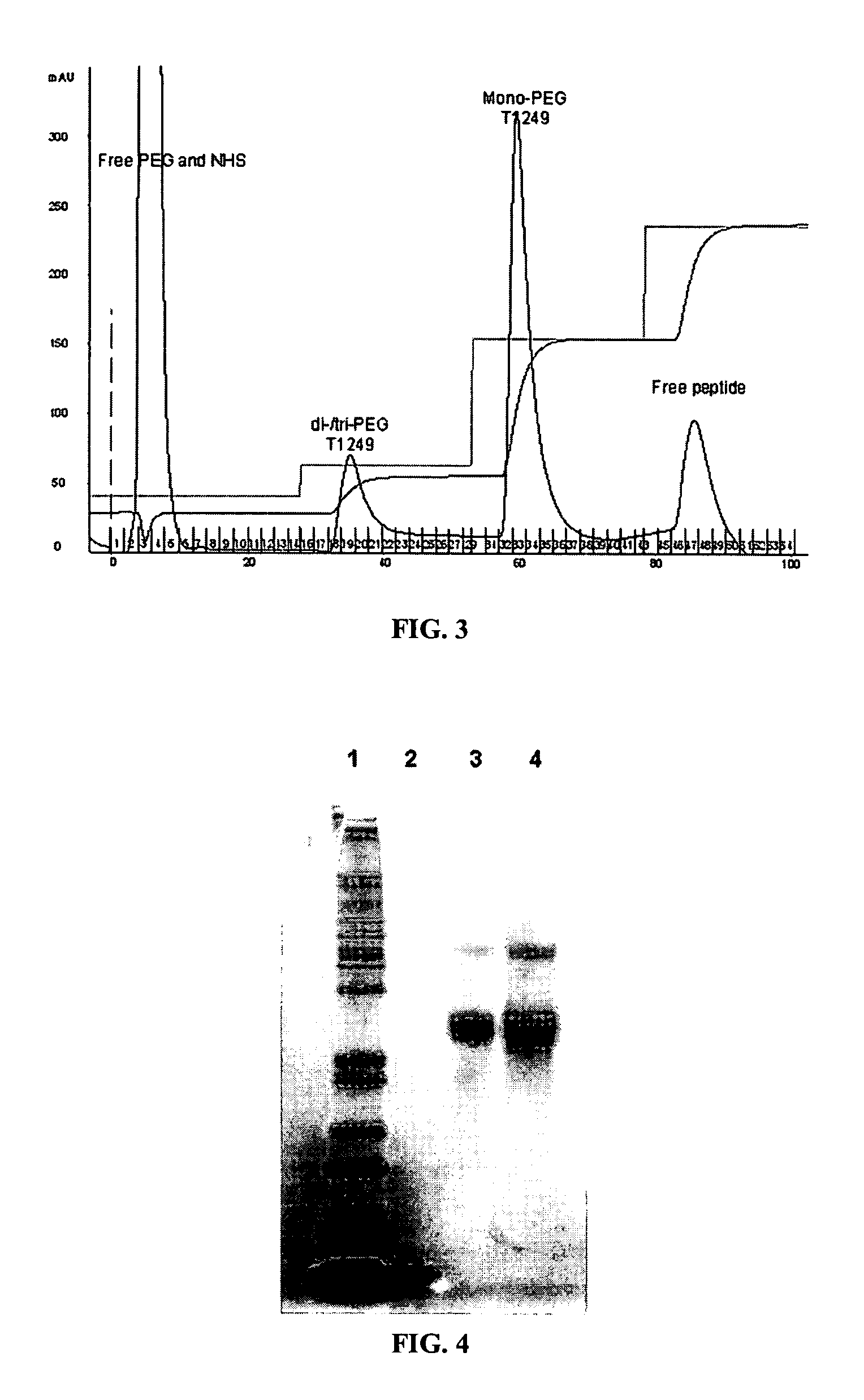 Polymer-based compositions and conjugates of HIV entry inhibitors