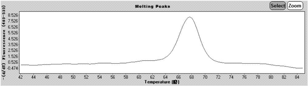 Fluorescence quantitative PCR (Polymerase Chain Reaction) detection kit and detection method