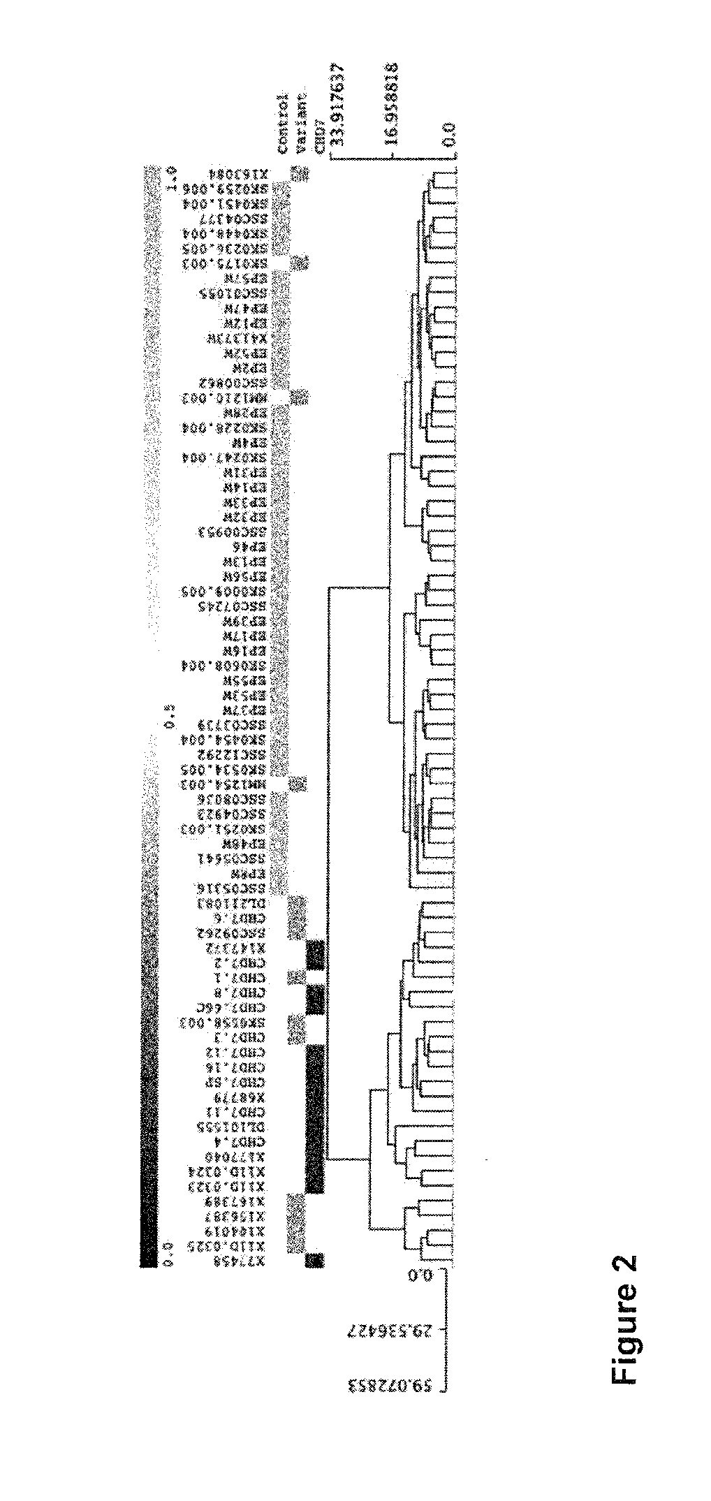 DNA methylation markers for neurodevelopmental syndromes