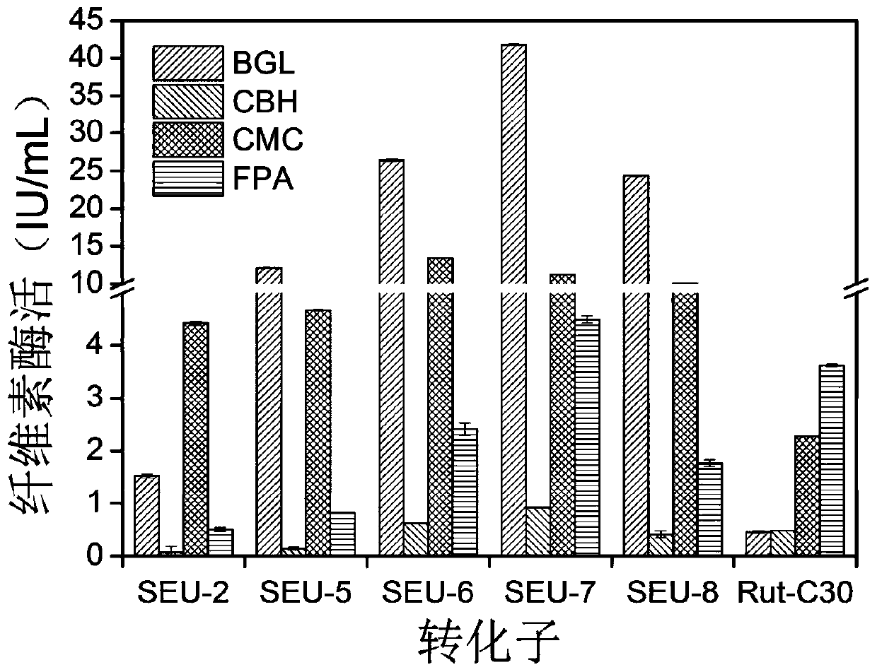 A strain of Trichoderma reesei genetic engineering bacteria with high cellulase production induced by soluble and insoluble carbon sources and its construction method and application