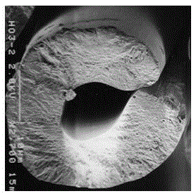 Spinneret and method for preparing mesophase pitch-based hollow carbon fiber