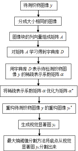 Fabric defect detection method based on sparse representation coefficient optimization