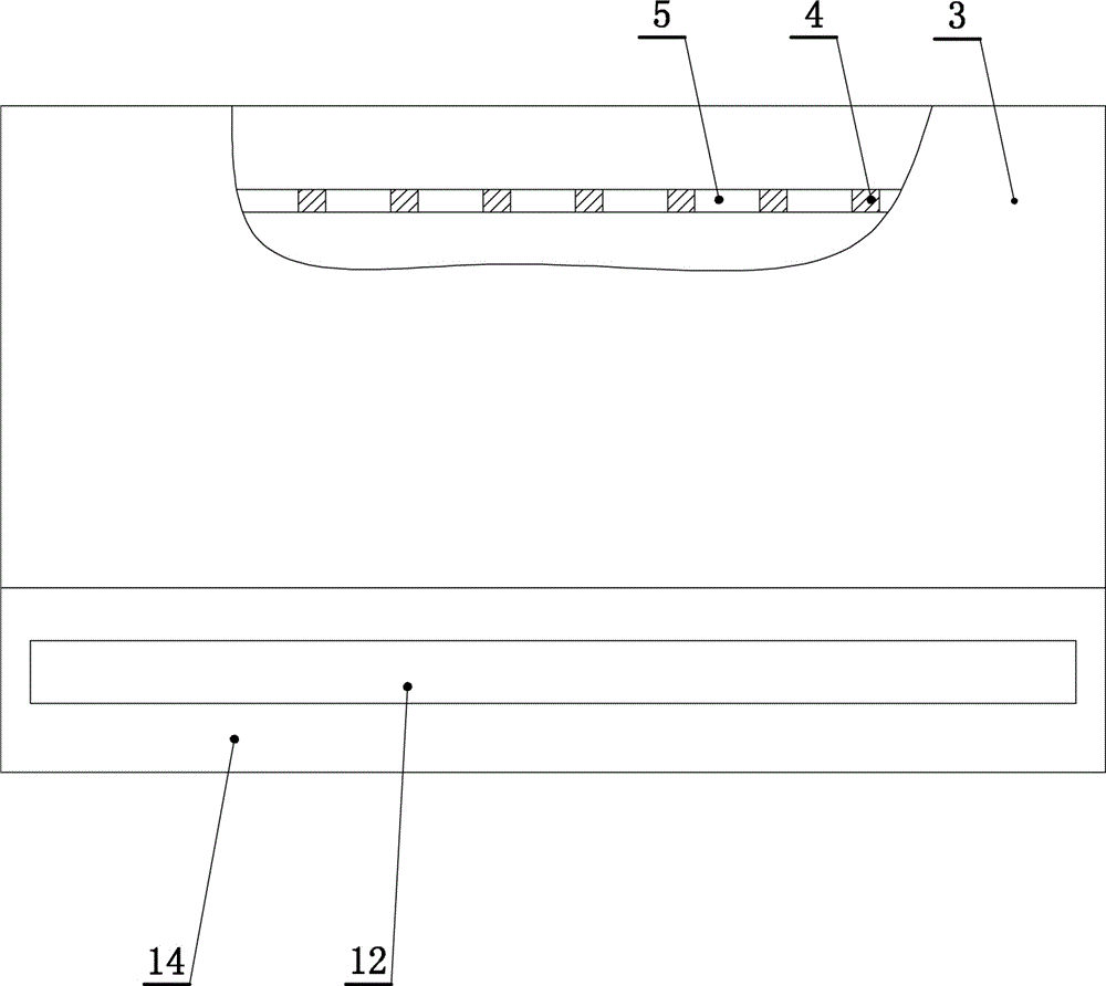 Test tube shaker