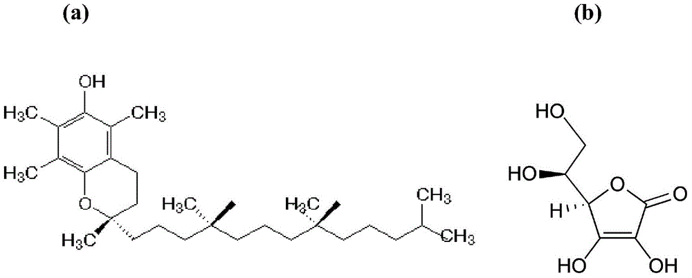 Cosmetic active ingredient-containing lipidosome as well as preparation method and application thereof