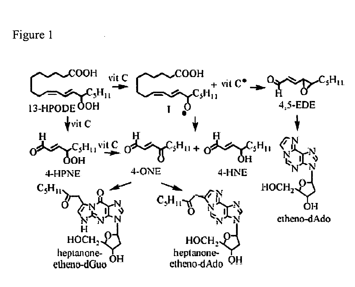 Chemical treatment for removing cellular and nuclear material from naturally occurring extracellular matrix-based biomaterials