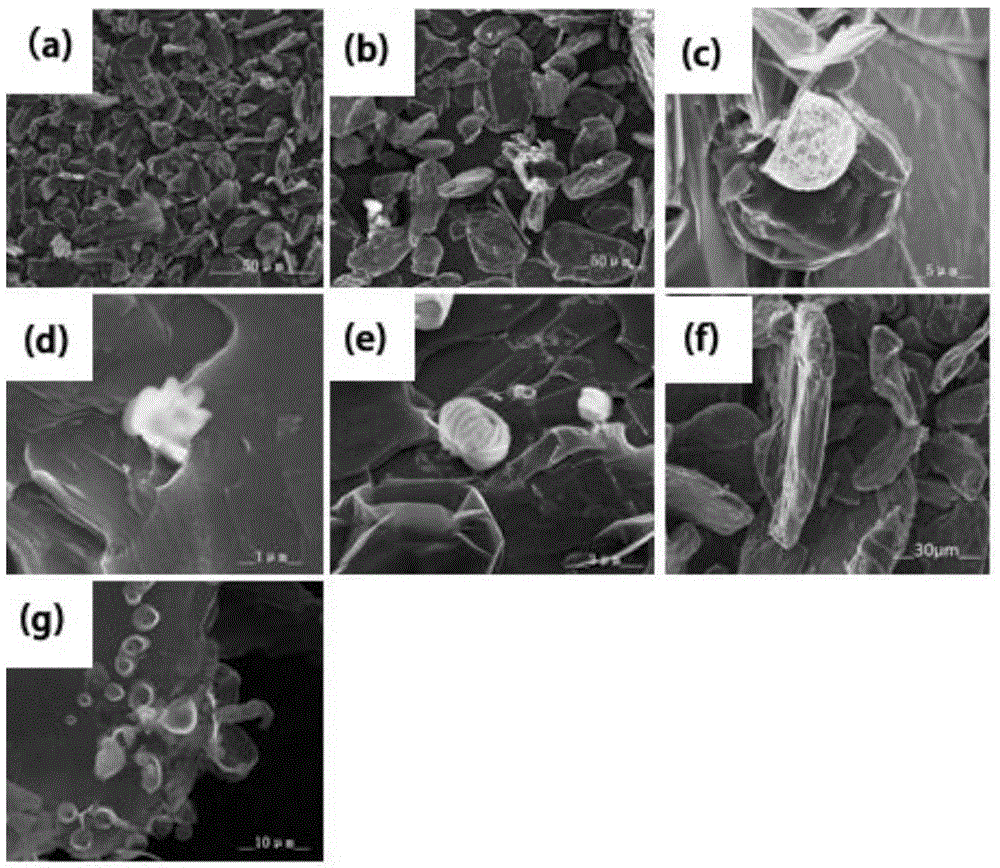 Method for preparing high-purity flake graphite