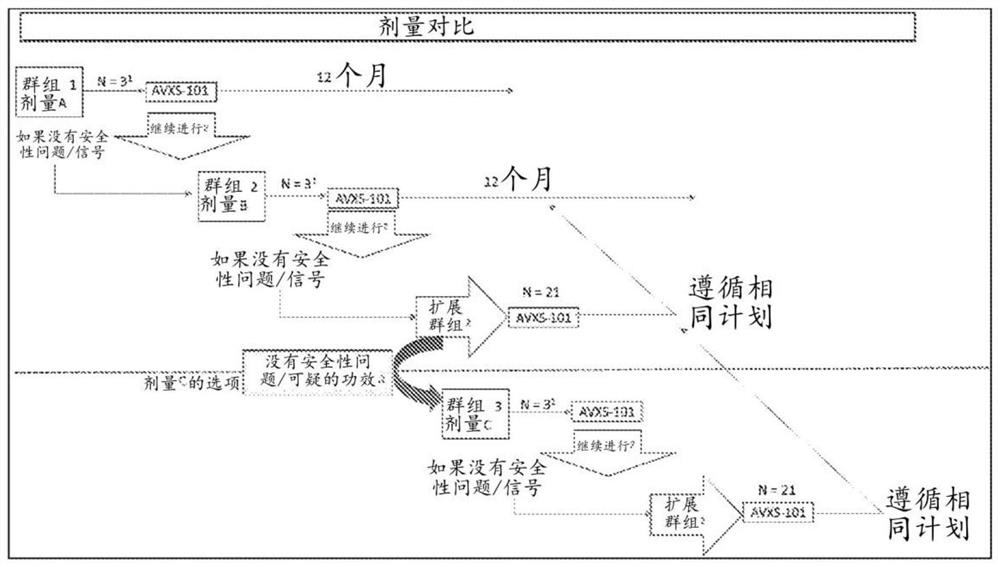 Aav viral vectors and uses thereof