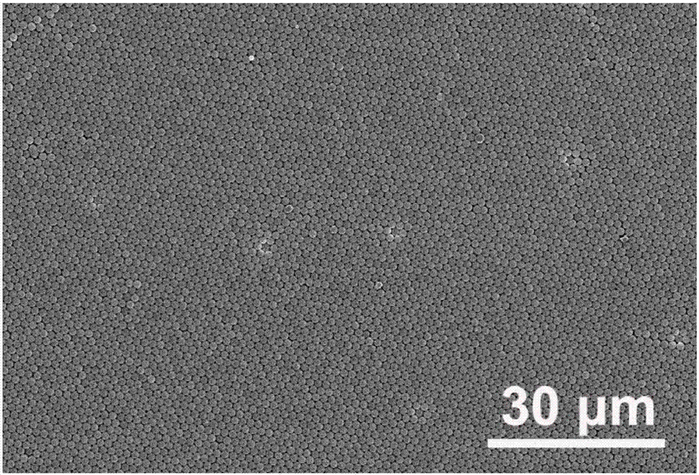 A large-area defect-free two-dimensional colloidal single crystal, its preparation method and its transfer method