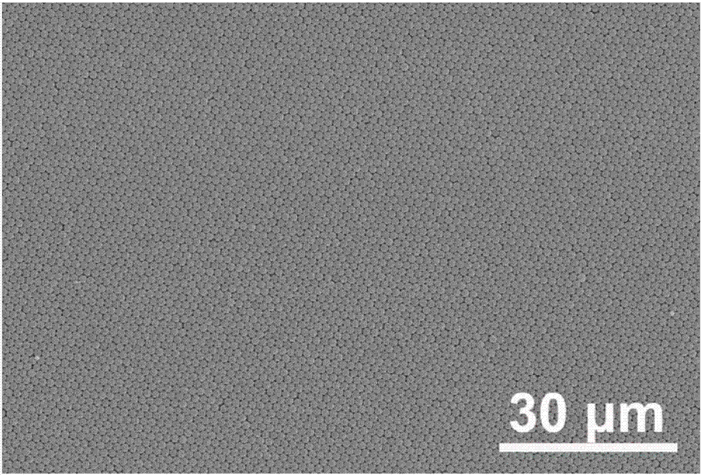 A large-area defect-free two-dimensional colloidal single crystal, its preparation method and its transfer method