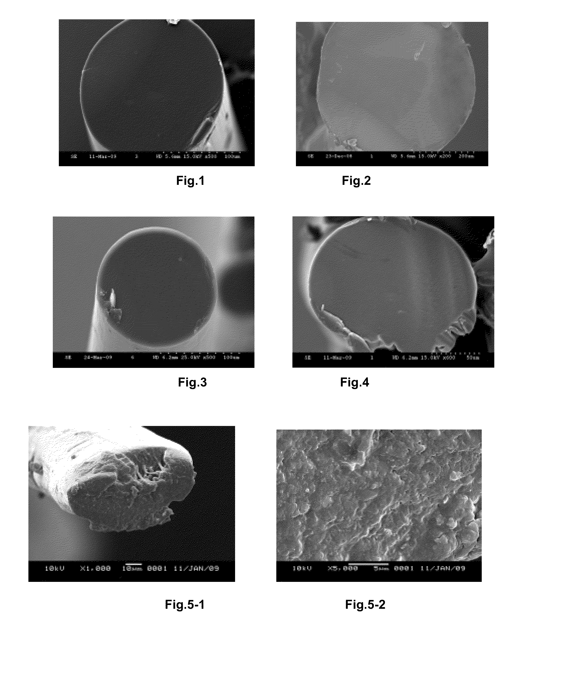 Process of melt-spinning polyacrylonitrile fiber