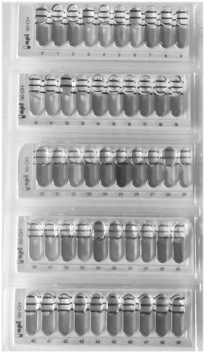 Bacteroides vulgaris strain and application thereof in preparation of medicines for treating inflammatory bowel diseases