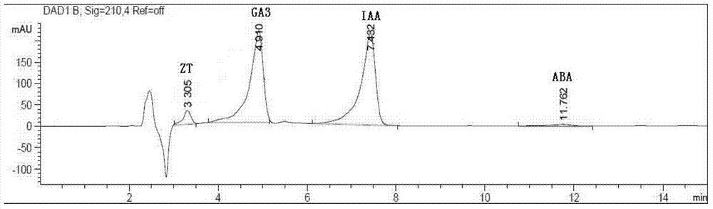 Determination method of content of endogenous hormones in terminal buds of tomato plants