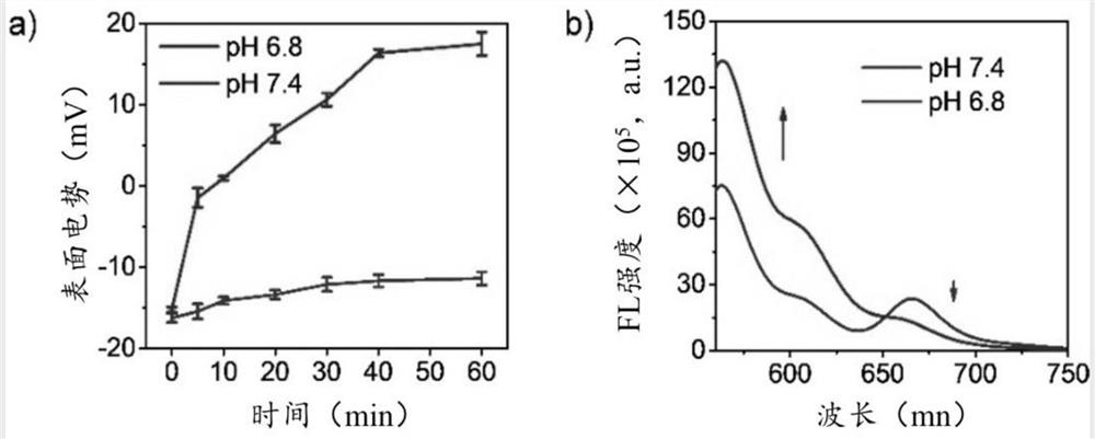 Lung gene delivery system and preparation method and application thereof