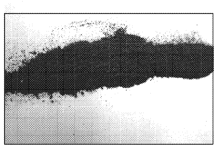 Production system for composite porous solid articles