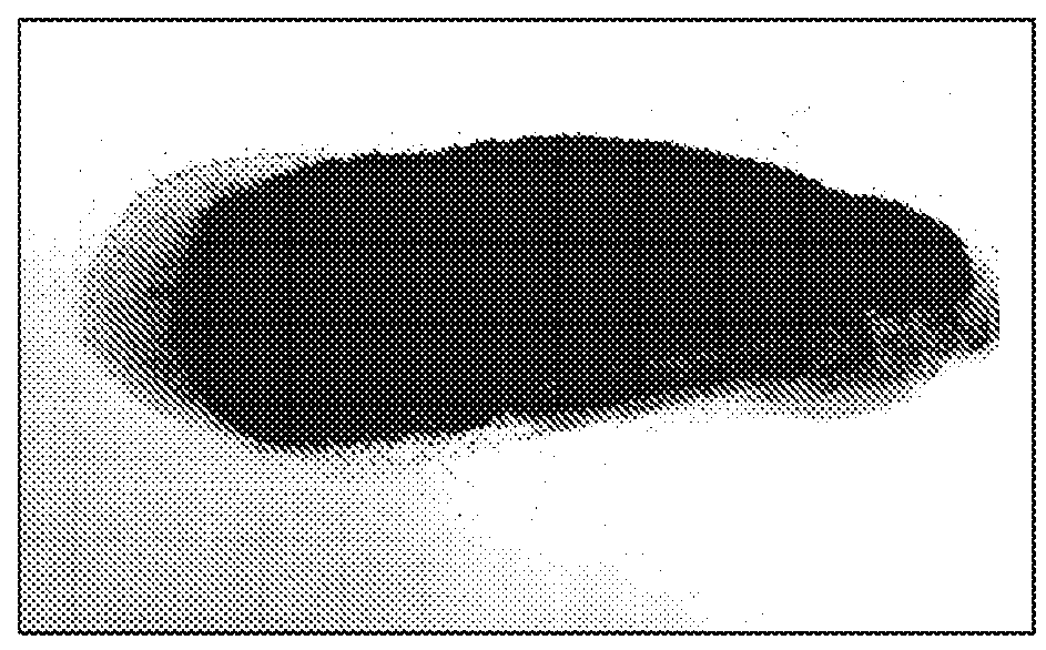 Production system for composite porous solid articles