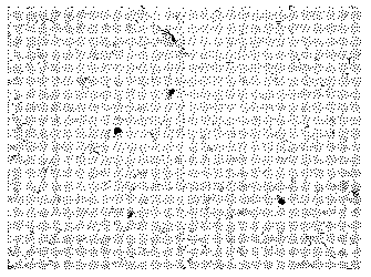 Method for identifying positive cells and negative cells of immunologic tissue