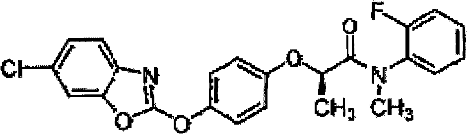 Herbicide composition and application thereof