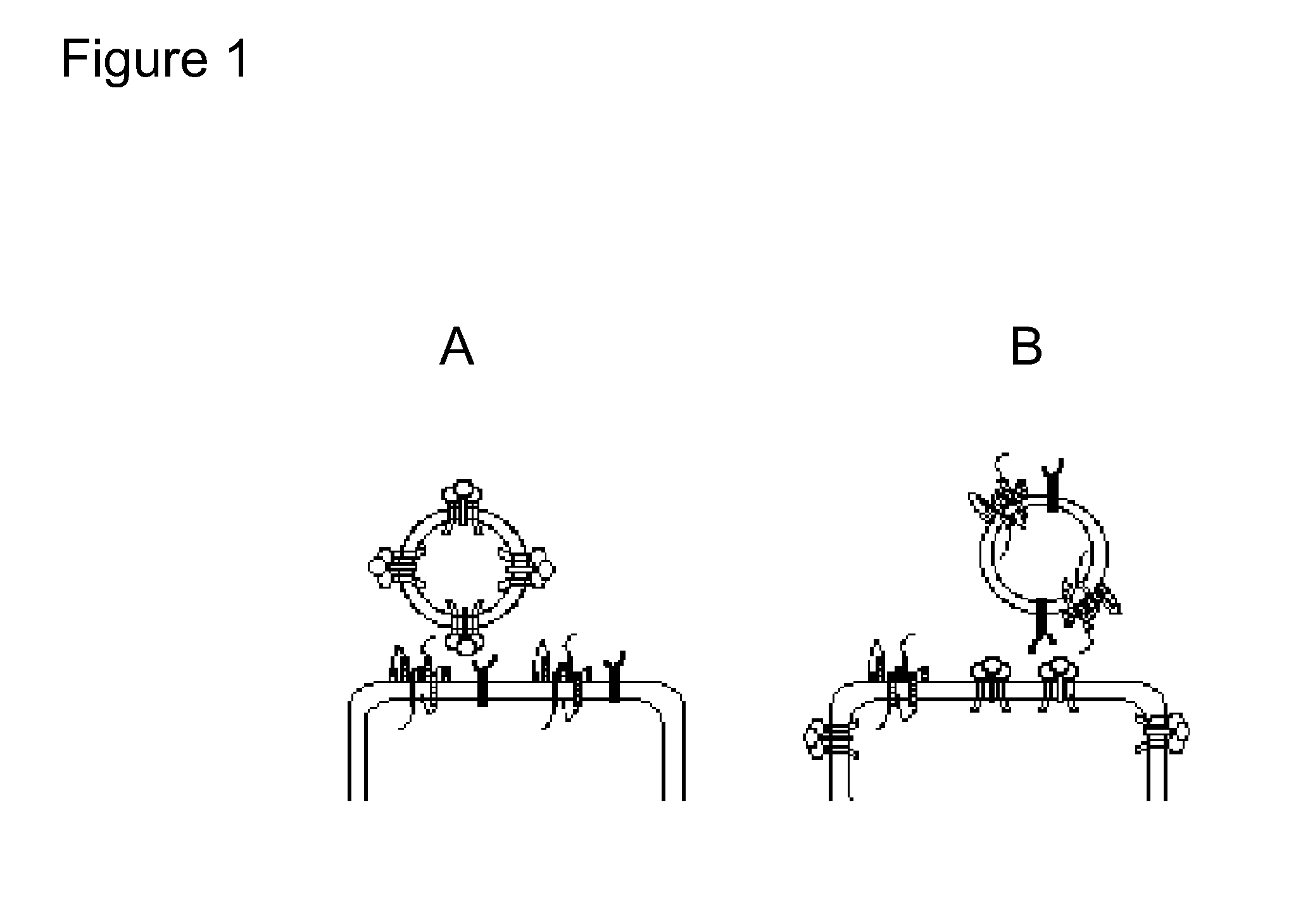 Lipoparticle comprising a protein and methods of making and using the same