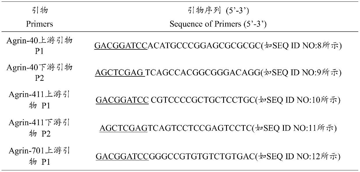 Human Agrin antigen and human Agrin antibody detecting kits and preparing method and application thereof