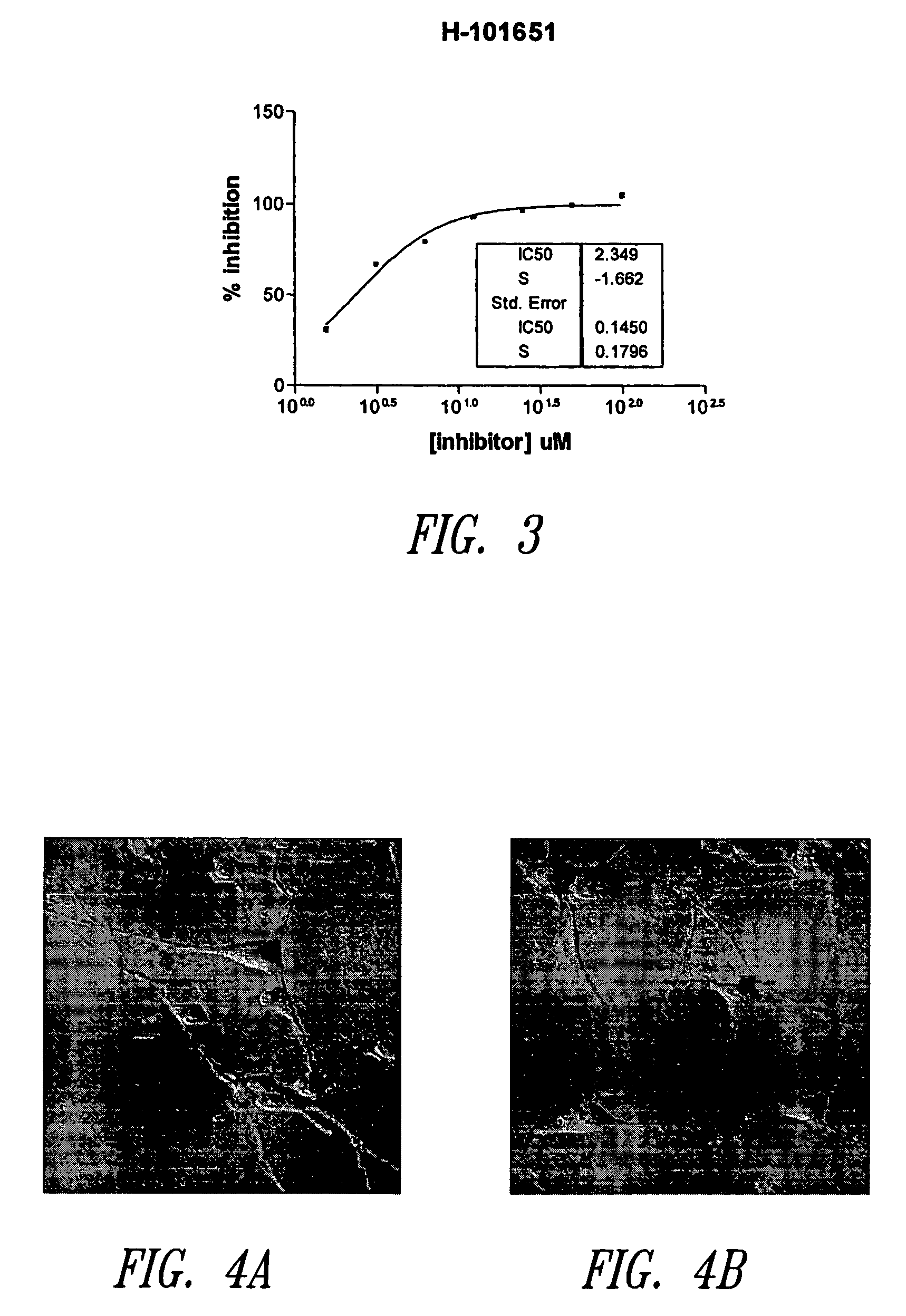 Reverse-turn mimetics and method relating thereto