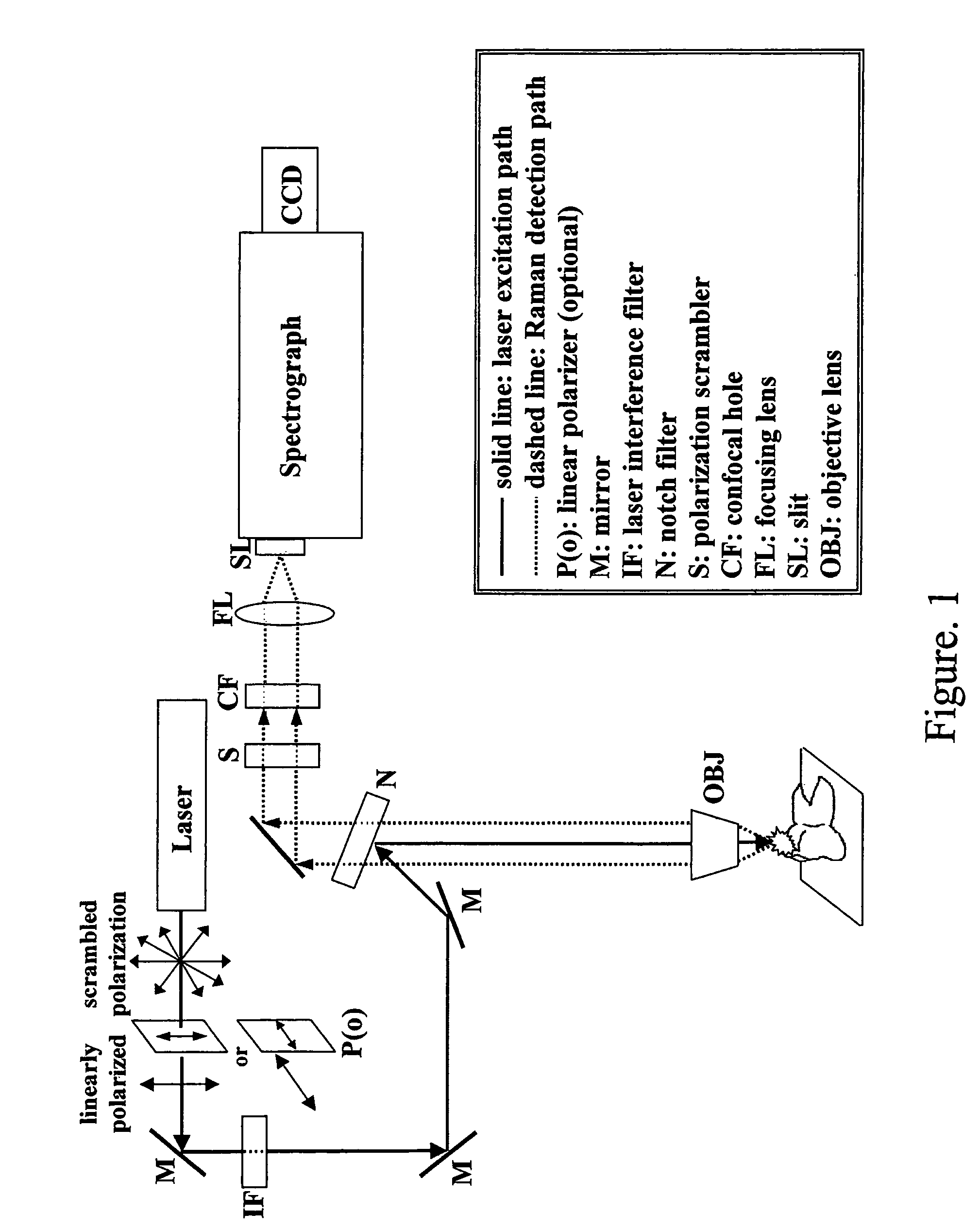 Detection and monitoring of changes in mineralized tissues or calcified deposits by optical coherence tomography and Raman spectroscopy