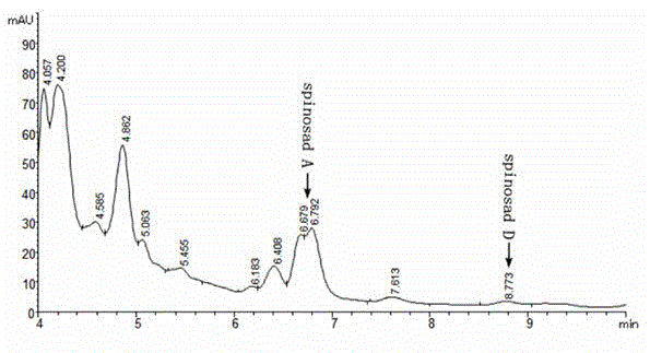 Saccharopolyspora spinosa rhamnose biosynthesis gene duplication engineering strain